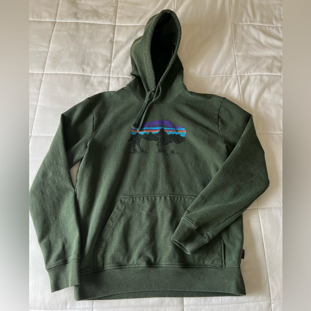 Patagonia Forest Green Buffalo Range Hoodie